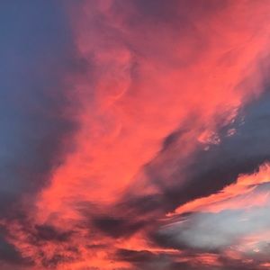 Meet your Posher, Joy